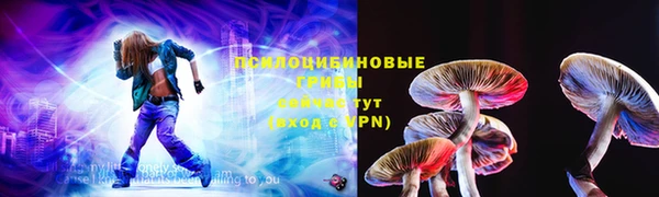 ешки Бородино