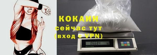 ешки Бородино