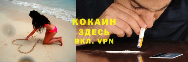 ешки Бородино