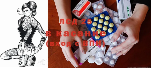 ешки Бородино