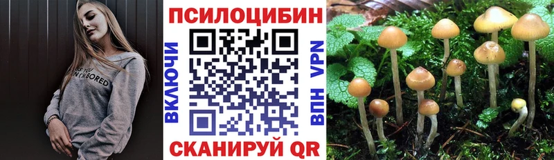 kraken как войти  Октябрьский  Галлюциногенные грибы Magic Shrooms 
